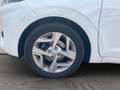 Hyundai i10 1.2 Benzin 5-Gang SHZ/PDC/Klimaauto. Blanc - thumbnail 3