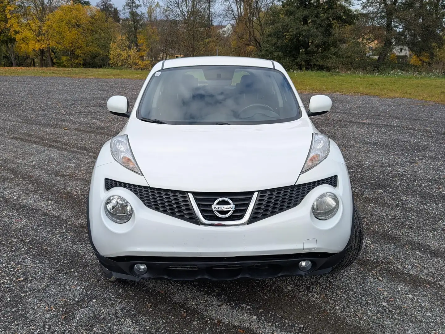 Nissan Juke Juke Pure Drive cdi Weiß - 1