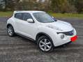 Nissan Juke Juke Pure Drive cdi Weiß - thumbnail 2