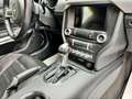 Ford Mustang 2.3 ECOBOOST UFFICIALE ITALIANA KM 33000! Grau - thumbnail 4