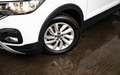 Volkswagen T-Cross T-Cross 1.0 TSI Life OPF DSG Blanc - thumbnail 5