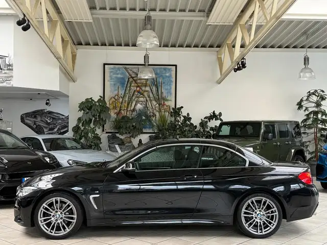 BMW 4 Series view 10