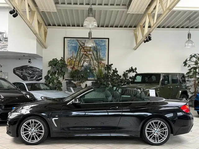 BMW 4 Series view 9