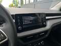 Skoda Fabia Selection TSI Grün - thumbnail 14