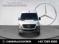 Mercedes-Benz Sprinter 316 CDI Kasten Hochdach Lang Navi MBUX Weiß - thumbnail 3