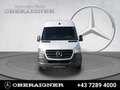 Mercedes-Benz Sprinter 316 CDI Kasten Hochdach Lang Navi MBUX Weiß - thumbnail 3