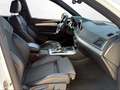 Audi Q5 TDI 35 quattro intense S-tronic Weiß - thumbnail 14