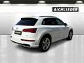 Audi Q5 TDI 35 quattro intense S-tronic Weiß - thumbnail 4