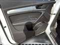 Audi Q5 TDI 35 quattro intense S-tronic Weiß - thumbnail 17