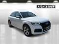 Audi Q5 TDI 35 quattro intense S-tronic Weiß - thumbnail 6