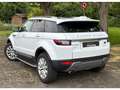 Land Rover Range Rover Evoque 2.0 TD4 150 CH Pure Weiß - thumbnail 6
