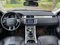 Land Rover Range Rover Evoque 2.0 TD4 150 CH Pure Weiß - thumbnail 10
