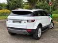Land Rover Range Rover Evoque 2.0 TD4 150 CH Pure Weiß - thumbnail 8