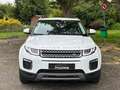 Land Rover Range Rover Evoque 2.0 TD4 150 CH Pure Weiß - thumbnail 2