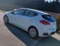 Kia Ceed / cee'd KIA cee'd 1,4 CRDi ISG Motion Pro Weiß - thumbnail 4