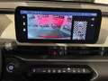 Fiat 600 Hybrid 110 CV DCT MHEV La Prima FIRST CALL Wit - thumbnail 13