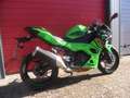 Kawasaki Ninja 500 SE -- 1 Hand -- Werksgarantie -- Wenig Km !!! Verde - thumbnail 3