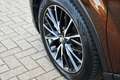 Toyota C-HR 1.8 Hybrid Executive Ultimate Automaat 122pk | Dod Brun - thumbnail 12