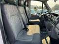 Iveco Daily Mascotte Centinato 3.0 DCI 200.000KM Blanc - thumbnail 11
