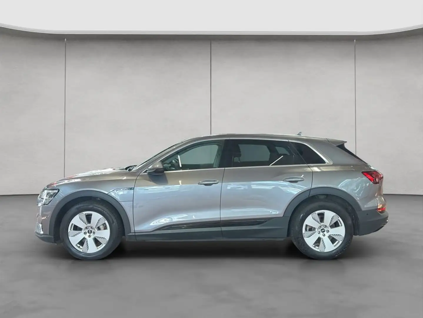 Audi e-tron 50 quattro Matrix, AC Grau - 2