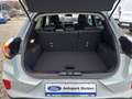 Ford Puma Titanium Kamera 360 Winter Paket AHK Grau - thumbnail 6