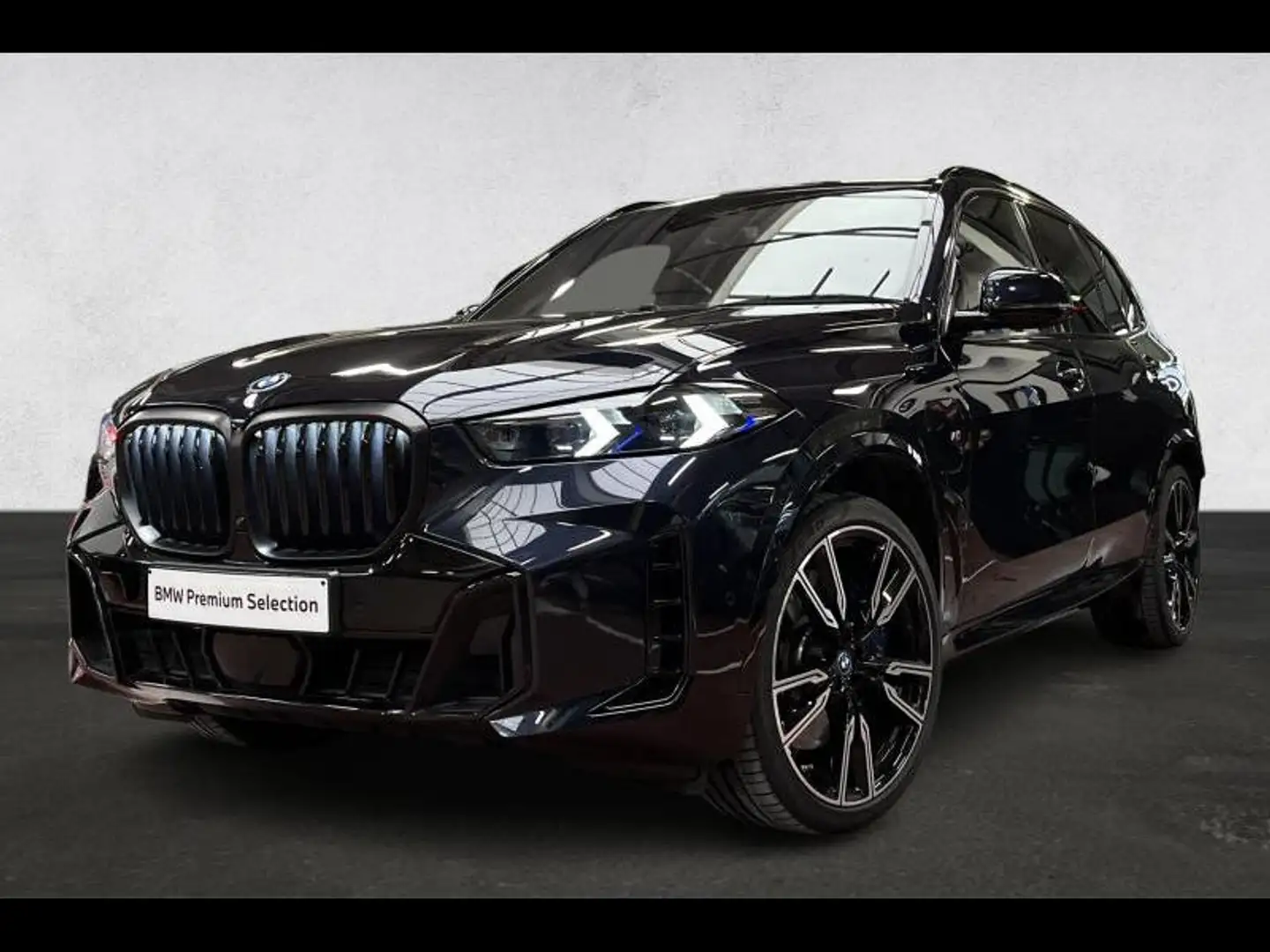 BMW X5 Pano-Driving Pro-Parking Pro Blau - 1