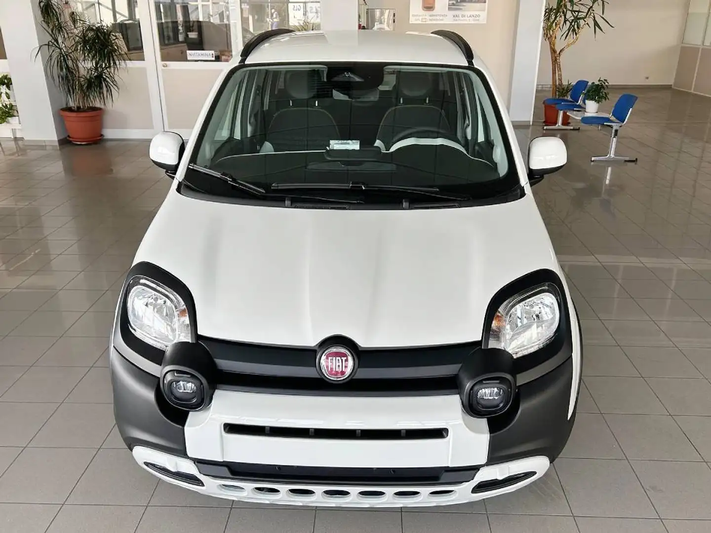 Fiat Panda 1.0 firefly hybrid s&s Pandina Bianco - 2