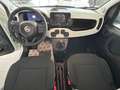 Fiat Panda 1.0 firefly hybrid s&s Pandina Bianco - thumbnail 10