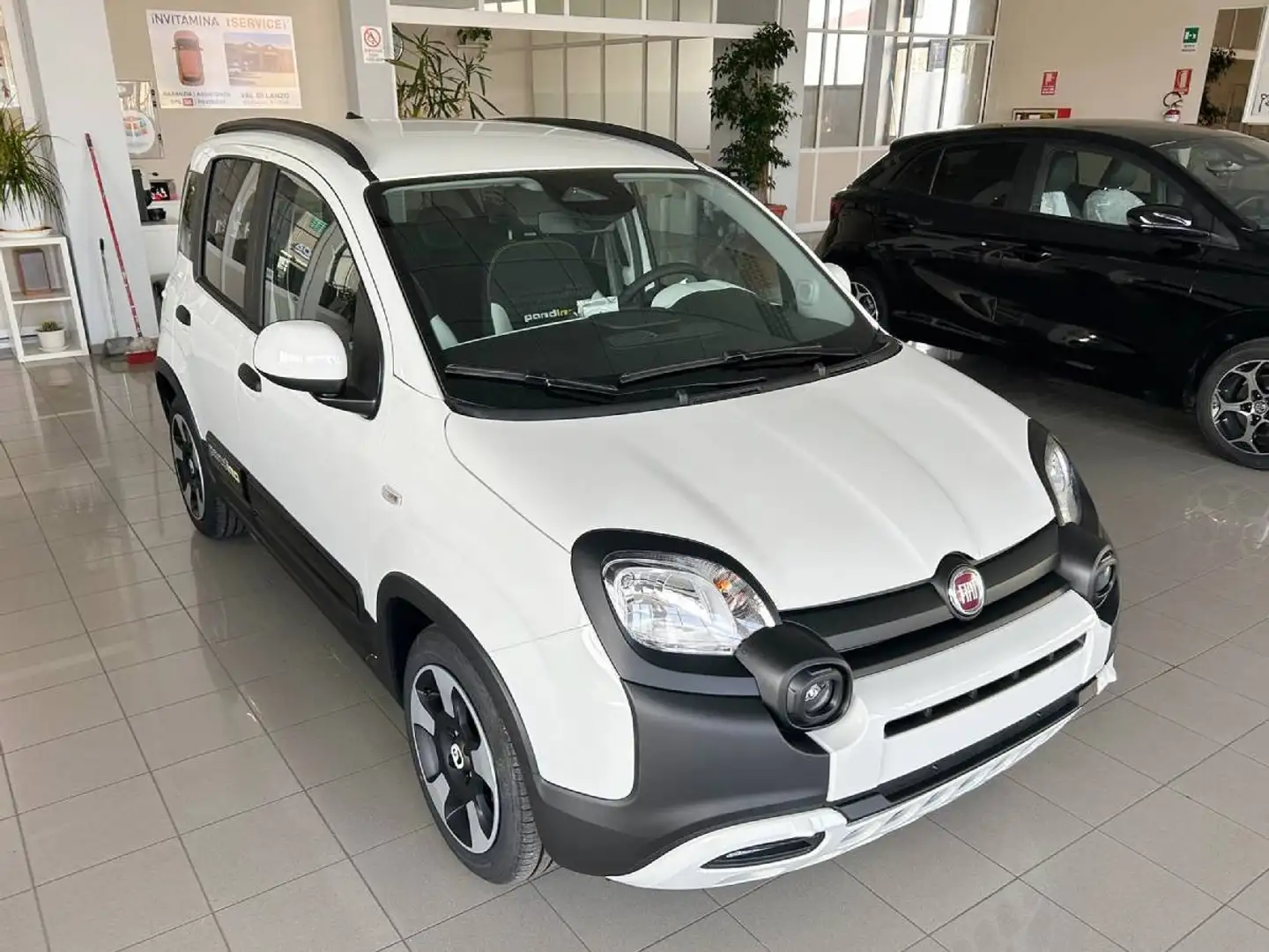 Fiat Panda 1.0 firefly hybrid s&s Pandina Bianco - 1