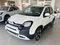 Fiat Panda 1.0 firefly hybrid s&s Pandina Bianco - thumbnail 3