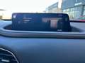 Mazda CX-30 CX-30 2.0 m-hybrid TAKUMI Gris - thumbnail 19