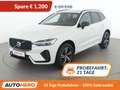 Volvo XC60 2.0 T6 Twin Engine Recharge Plug-in R Design AWD Weiß - thumbnail 1