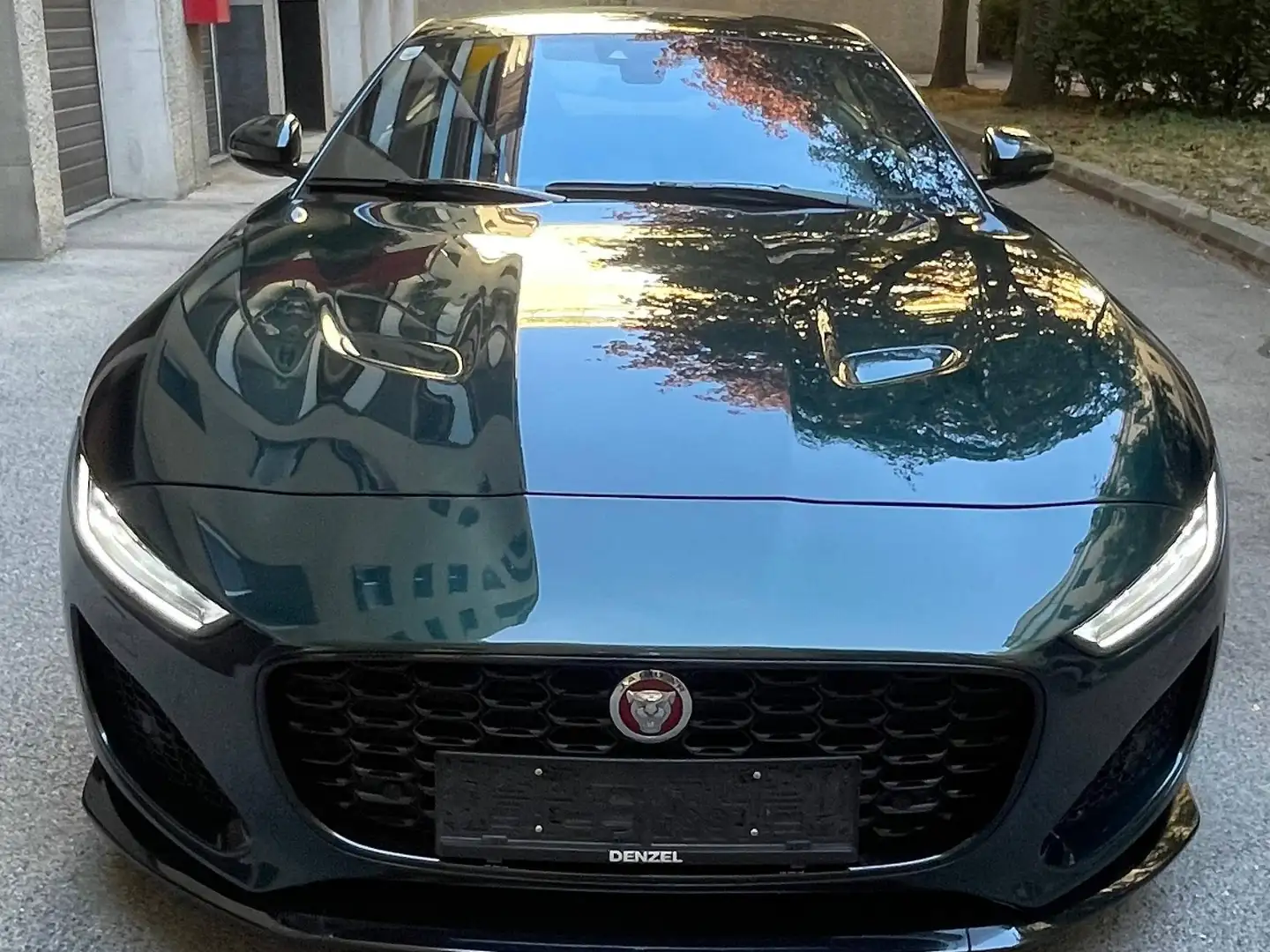 Jaguar F-Type P 300, R-Dynamic A, British Racing Green, Panorama Grün - 2