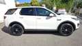 Land Rover Discovery Sport Discovery Sport 2.0 td4 Premium awd 180cv auto Bianco - thumbnail 4