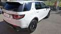 Land Rover Discovery Sport Discovery Sport 2.0 td4 Premium awd 180cv auto Bianco - thumbnail 5