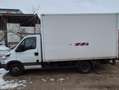 Iveco Sonstige - thumbnail 3