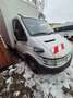 Iveco Sonstige - thumbnail 2