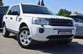 Land Rover Freelander TD4 S MARK IV Blanc - thumbnail 14