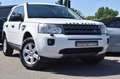 Land Rover Freelander TD4 S MARK IV Blanc - thumbnail 1