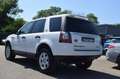 Land Rover Freelander TD4 S MARK IV Blanc - thumbnail 12