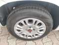 Fiat Panda 1.2 Easy 69cv E6 Blanc - thumbnail 13