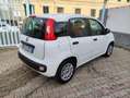 Fiat Panda 1.2 Easy 69cv E6 Blanc - thumbnail 4