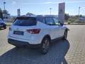 SEAT Arona ARONA ROAD EDITION 1.0 TSI DSG NAVI SITZHEI. EPH Weiß - thumbnail 2