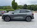 Ford Kuga 2.5 Duratec FHEV ST-Line X CVT+Panorama+AHK Grau - thumbnail 4