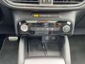 Ford Kuga 2.5 Duratec FHEV ST-Line X CVT+Panorama+AHK Grau - thumbnail 29