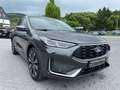 Ford Kuga 2.5 Duratec FHEV ST-Line X CVT+Panorama+AHK Grau - thumbnail 2