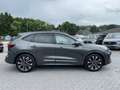 Ford Kuga 2.5 Duratec FHEV ST-Line X CVT+Panorama+AHK Grau - thumbnail 12