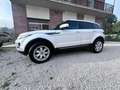 Land Rover Range Rover Evoque Range Rover Evoque  2012 5p 2.2 td4 Prestige 150cv Bianco - thumbnail 9