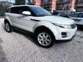 Land Rover Range Rover Evoque Range Rover Evoque  2012 5p 2.2 td4 Prestige 150cv Bianco - thumbnail 4