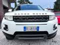 Land Rover Range Rover Evoque Range Rover Evoque  2012 5p 2.2 td4 Prestige 150cv Bianco - thumbnail 10